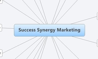 Success Synergy Marketing