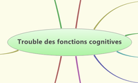 Trouble des fonctions cognitives