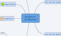 Surfers in La Réunion
