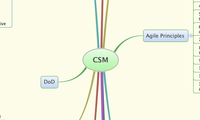 CSM