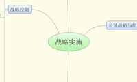 战略实施