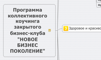Программа коллективного коучинга закрытого бизнес-клуба "НОВОЕ БИЗНЕС ПОКОЛЕНИЕ"