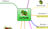 La Forêt