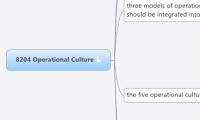 8204 Operational Culture