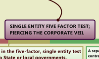 SINGLE ENTITY FIVE FACTOR TEST;
PIERCING THE CORPORATE VEIL