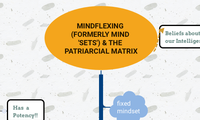 Mindflexing (formerly Mind 'Sets') & the Patriarcial Matrix