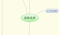 战略选择