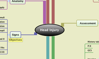 Head Injury