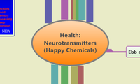 Health:
Neurotransmitters
(Happy Chemicals)