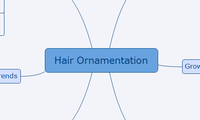 Hair Ornamentation