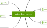 weight-loss program