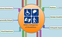 IDEA's Categories   of Disabilities