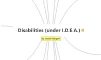 Disabilities (under I.D.E.A.)