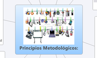 Principios Metodológicos: