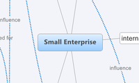 Small Enterprise
