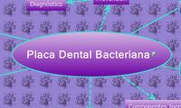 Placa Dental Bacteriana