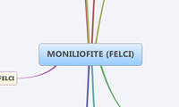 MONILIOFITE (FELCI)