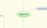 战略分析