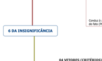 6 DA INSIGNIFICÂNCIA