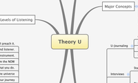 Theory U