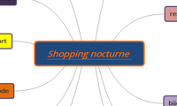 Shopping nocturne