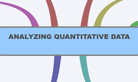 ANALYZING QUANTITATIVE DATA