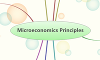 Microeconomics Principles
