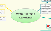 My Un/learning experience