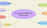 Eva Luna's Skill Flex Assesment