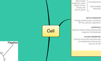Cell