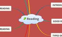 Reading