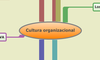 Cultura organizacional