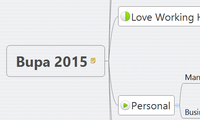 Bupa 2015