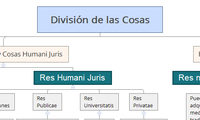 División de las Cosas