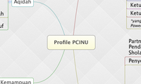 Profile PCINU