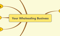 Your Wholesaling Business