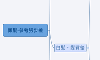 頭髮-參考張步桃