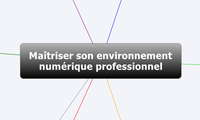 Maîtriser son environnement 
numérique professionnel