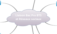 Liaison Bac Pro BTS et Réseaux sociaux