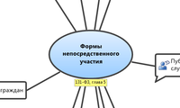 Формы
непосредственного
участия