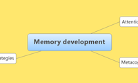 Memory development