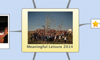 Meaningful Leisure 2014