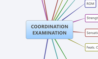 COORDINATION EXAMINATION
