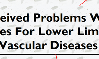 Satisfaction and Perceived Problems with Physical Therapy Rehabilitation Services for Lower Limb Amputees Due to Vascular Diseases