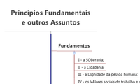 Princípios Fundamentais
e outros Assuntos