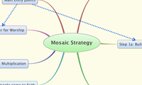 Mosaic Strategy