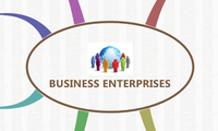 BUSINESS ENTERPRISES