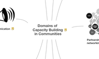 Domains of Capacity Building in Communities