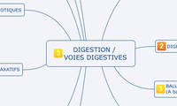 DIGESTION / VOIES DIGESTIVES