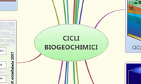 CICLI BIOGEOCHIMICI